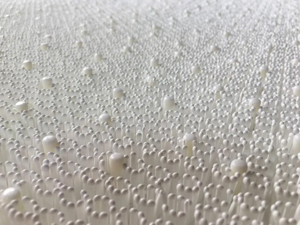 Close-up of Pearljump pearlslide surface texture
